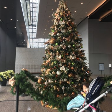 Very chic Christmas Tree in the entrance lobby, December 2017